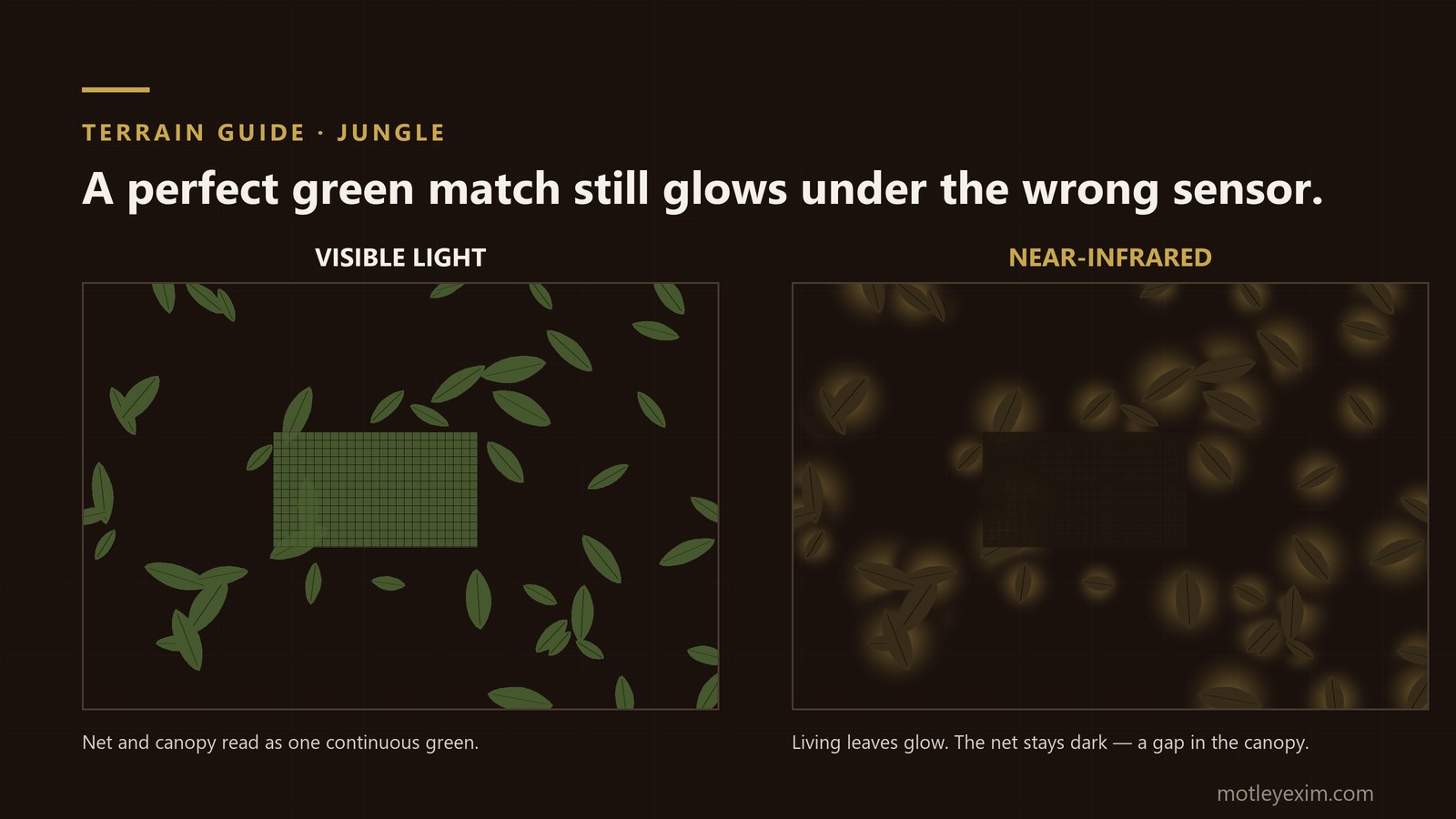 Cross-section diagram of jungle canopy layers showing how a camouflage net's near-infrared reflectance must match living leaf chlorophyll, not just its visible-light green colour